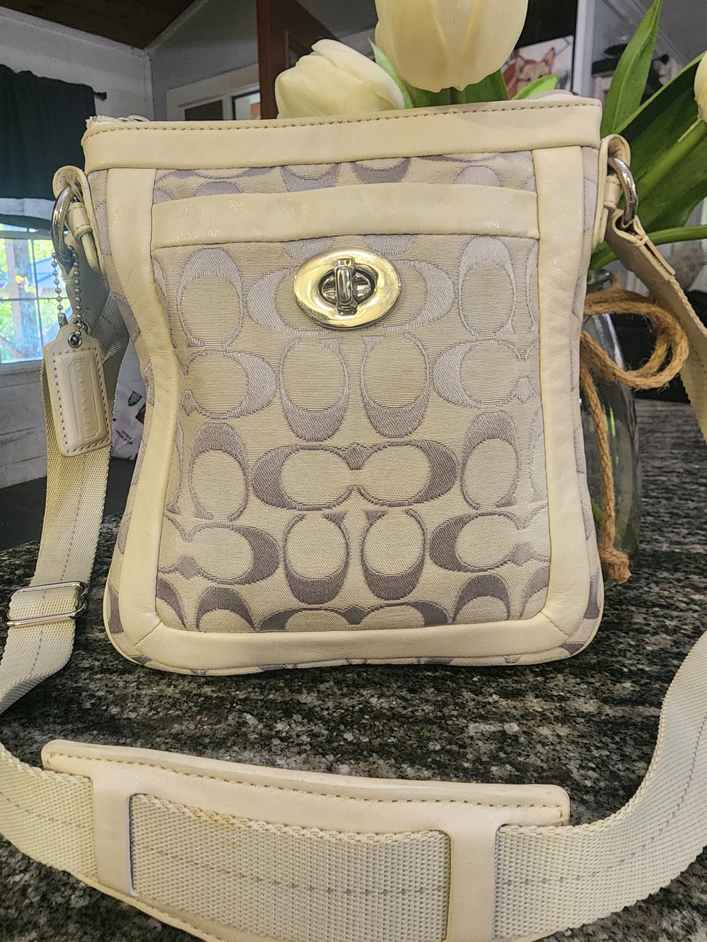 Coach Signature Canvas Crossbody Bag in Beige With Purple C's